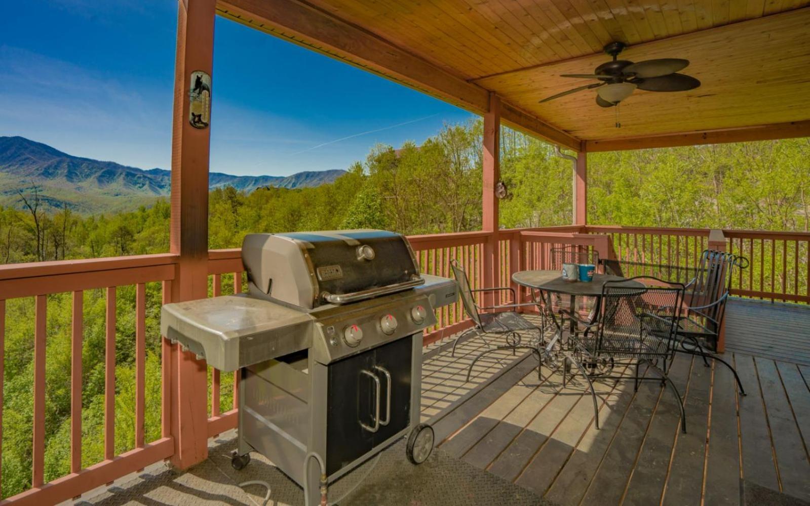 Beartastic Mountain View Lodge Gatlinburg Exterior photo