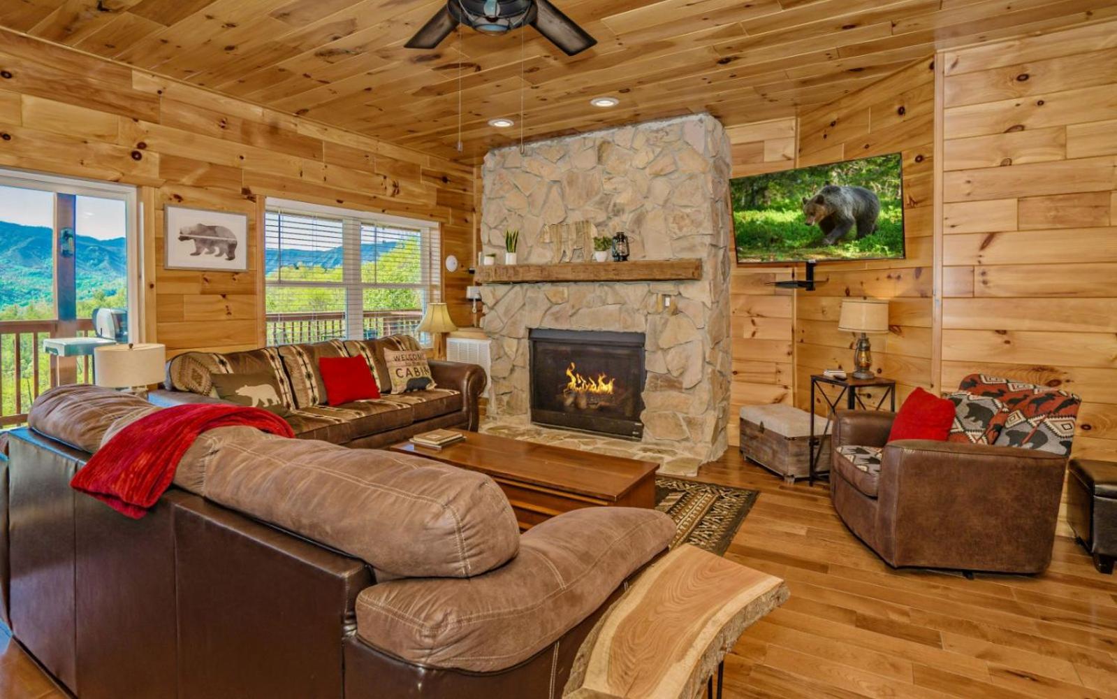 Beartastic Mountain View Lodge Gatlinburg Exterior photo